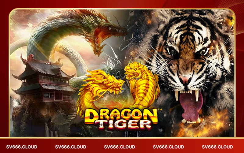 Đôi nét về rồng hổ Sv66 - Trò chơi cá cược thú vị Đôi nét về rồng hổ Sv66 - Trò chơi cá cược thú vị