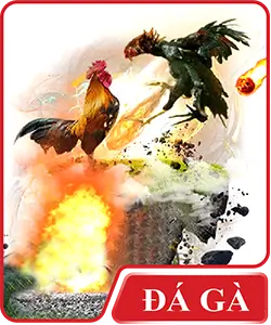 Đá Gà AVATA SV66